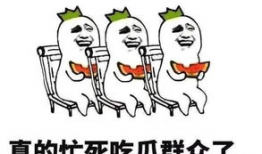 51吃瓜今日必吃句句刨坟,今日必吃句句刨坟，揭秘娱乐圈幕后真相