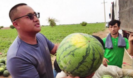 今日大瓜每日吃瓜,揭秘娱乐圈最新热点事件