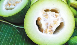 今日吃瓜91cg,揭秘娱乐圈最新热点事件