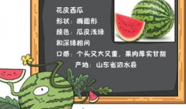 今日吃瓜历史记录最新,揭秘娱乐圈最新热点事件